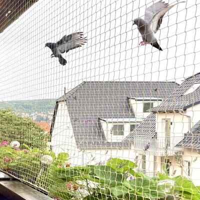 pigeon-nets-tamil-nadu