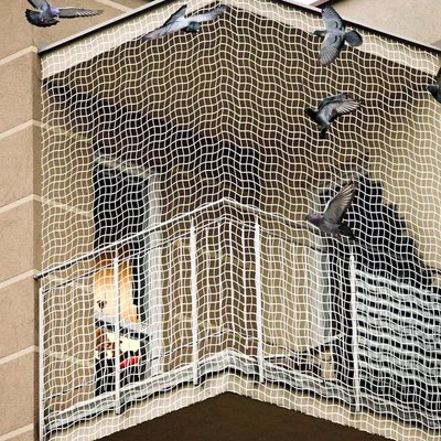 pigeon-nets-bangalore
