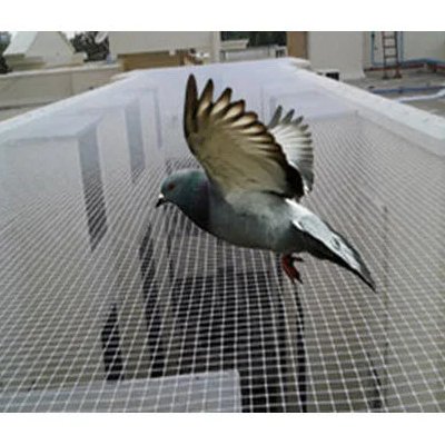 pigeon-nets-visakhapatnam