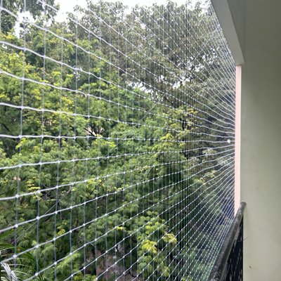 pigeon-nets-hyderabad