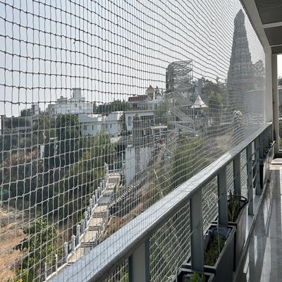 pigeon-nets-andhra-pradesh